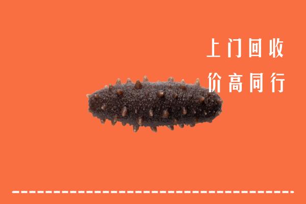 博尔塔拉高价回收海参
